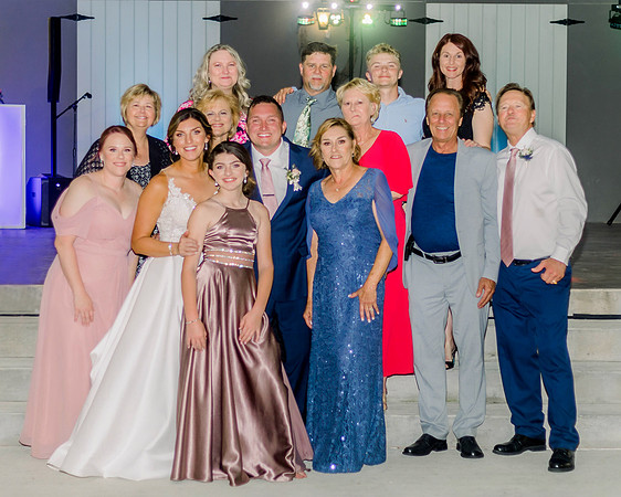 Springer fam
