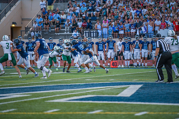 DSC_3937